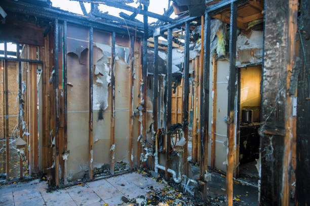 Professional Fire Damage Removal technician working in Altadena, CA
